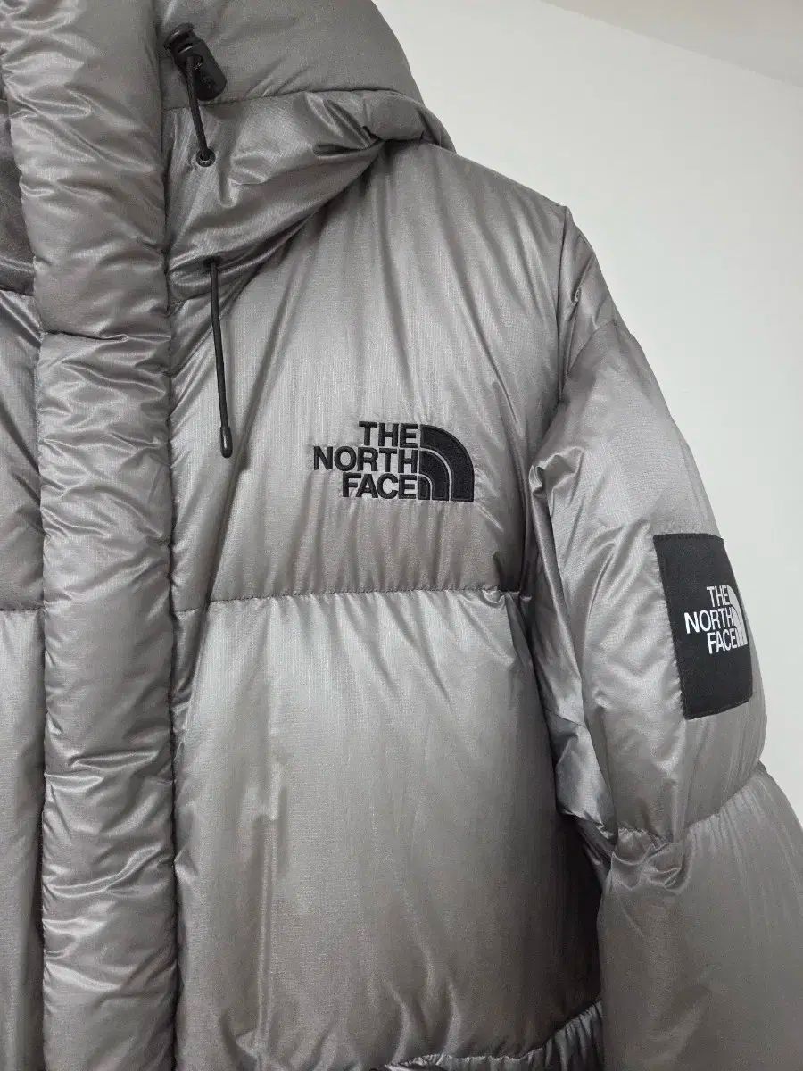 THE NORTH FACE ザノースフェイス クォンタム L RUN パーテックス ヘビー グースダウン ダウン グレー L