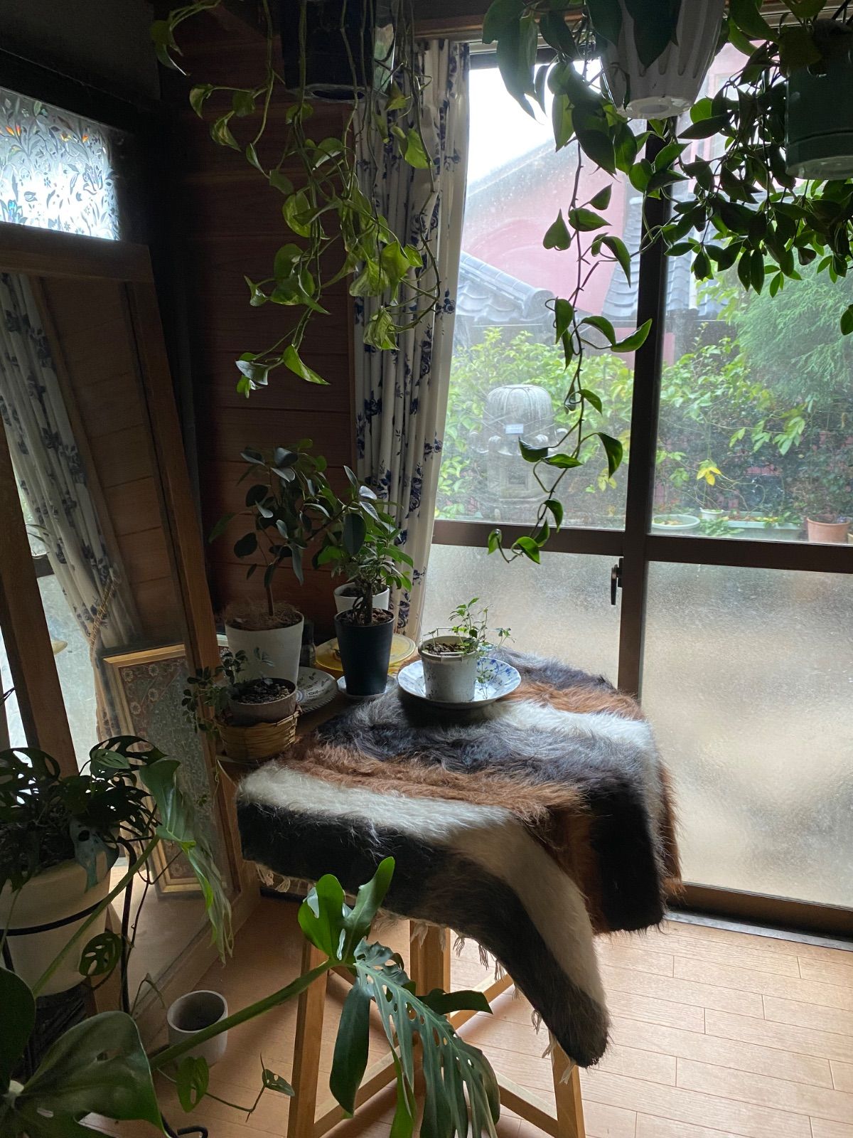 当店のみのサイズと質 上ヴィンテージアンゴラヤギのモヘアで織られたシイルトバッタニイェ 使いやすい77×95 上の黒山羊とチョコレート茶のモヘア グレーと白の4色の山羊のモヘアが楽しめる贅沢バッタニイェ 膝掛けサイズ ラグや車やキャンプにも ギフトにも最適 MARWIL-DEMENAGEMENTS_CH