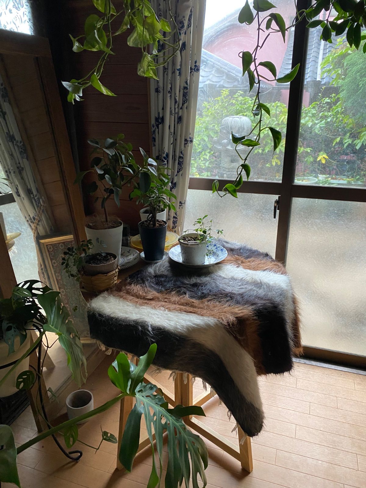 ギフトにも最適