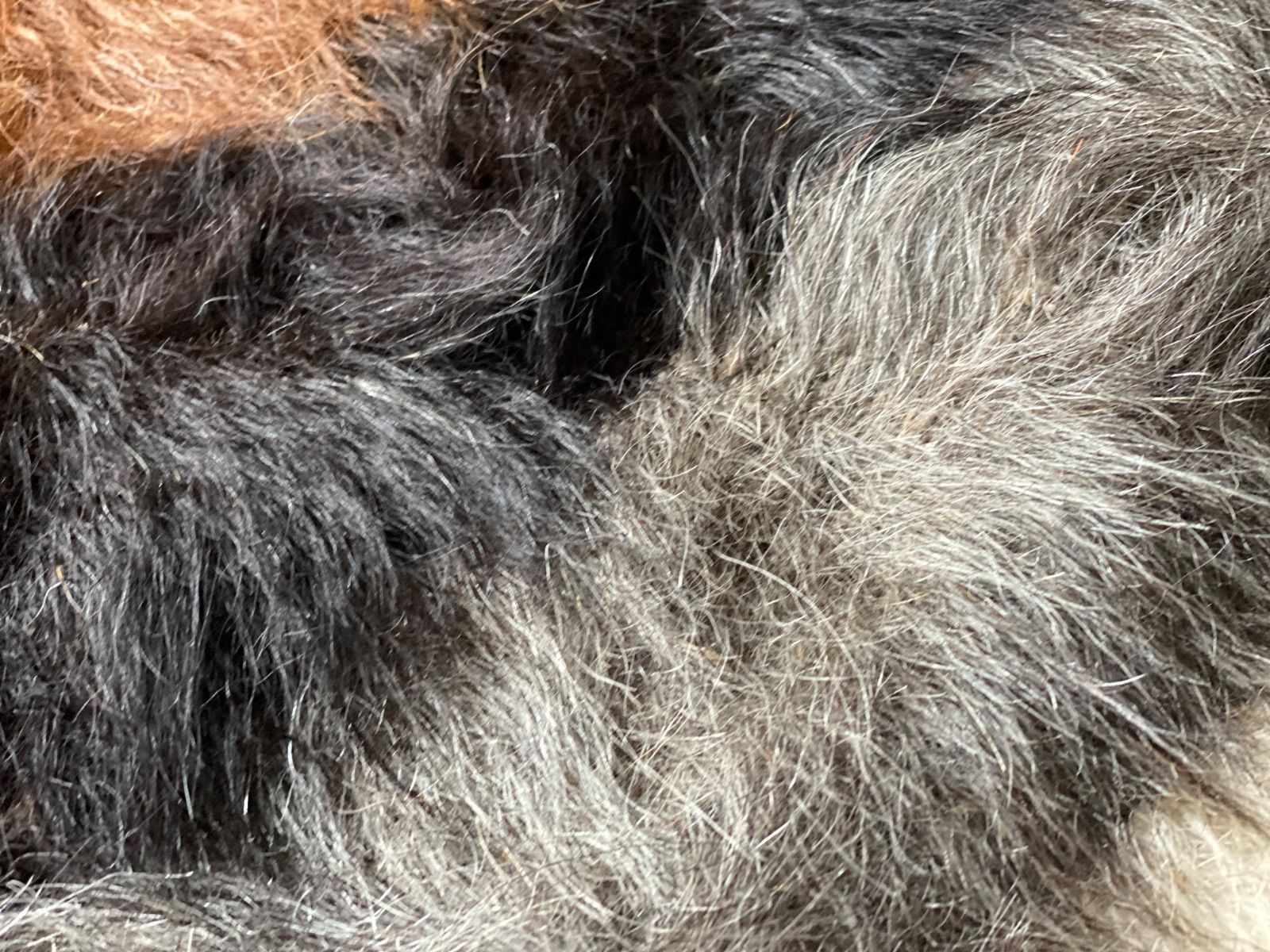 当店のみのサイズと質