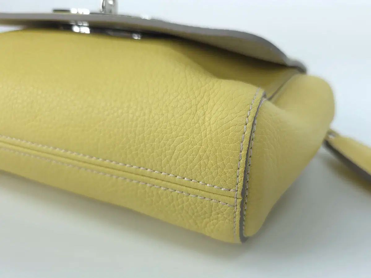 カモミール 黄色