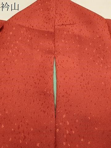 平和屋着物○小振袖 二尺袖 孔雀花文 丹色 金銀彩 洗える着物