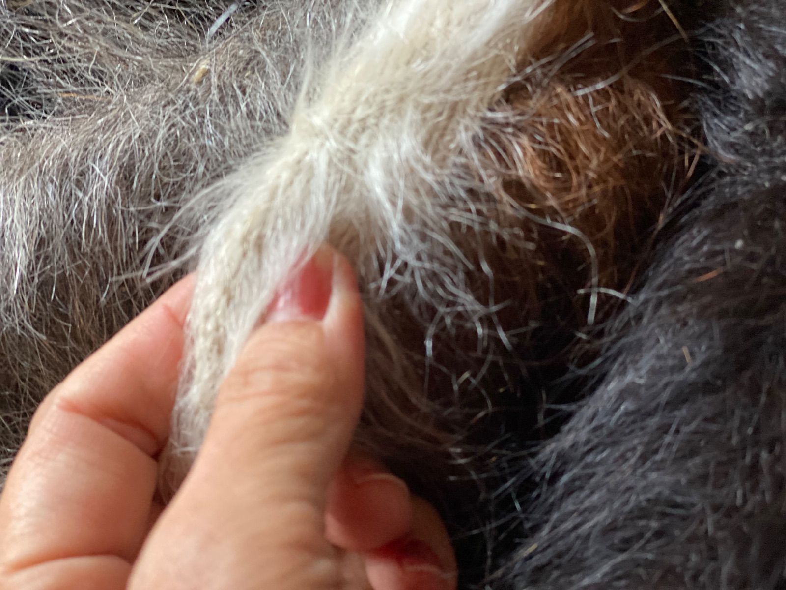 暖かくてフワフワ です