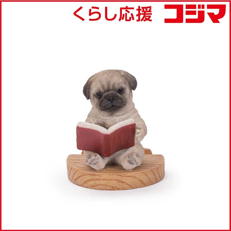 う*に様 となりの坂田 でかさかたん あほの坂田 坂田くじ ぬいぐるみ