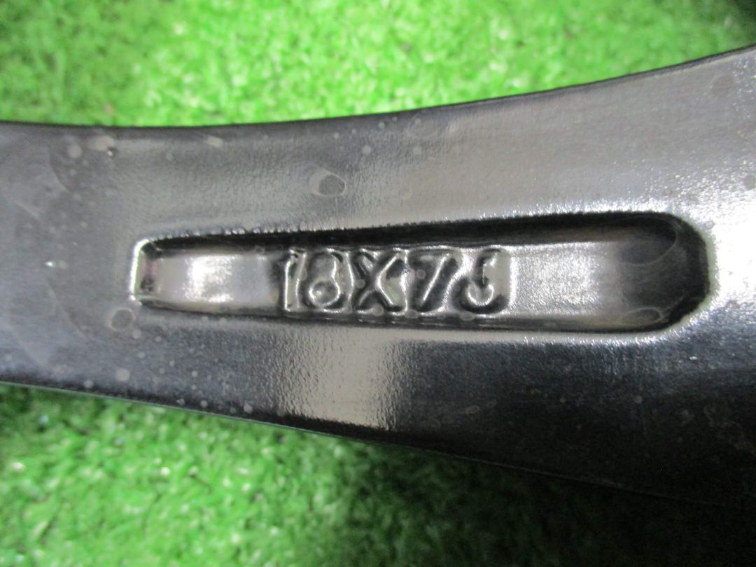 シュナイダースタッグ