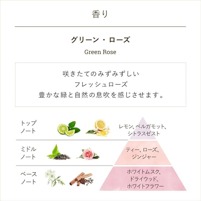 SABON サボン マジカルバスタイムキット グリーン ローズ 500mL 600g 160g