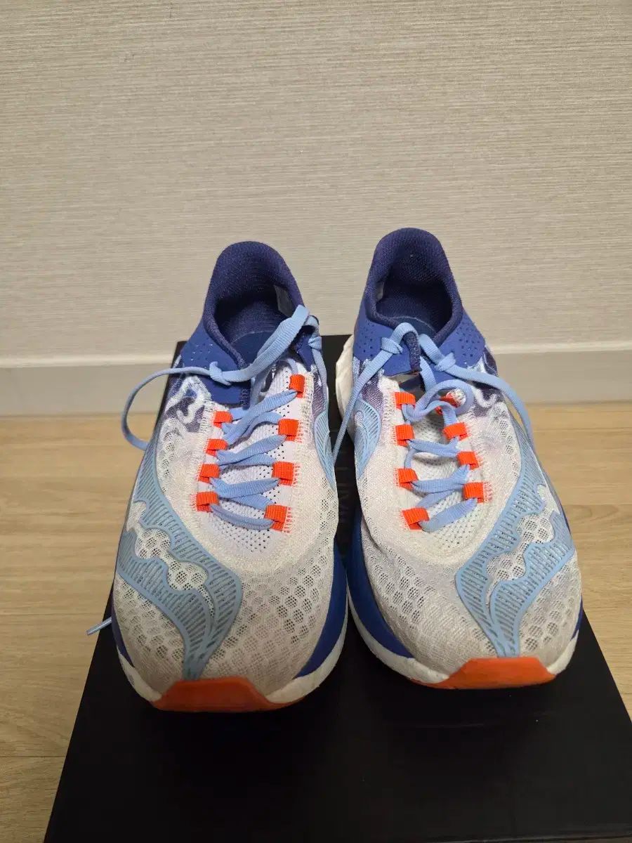 255Saucony サッカニー エンドルフィン プロ4