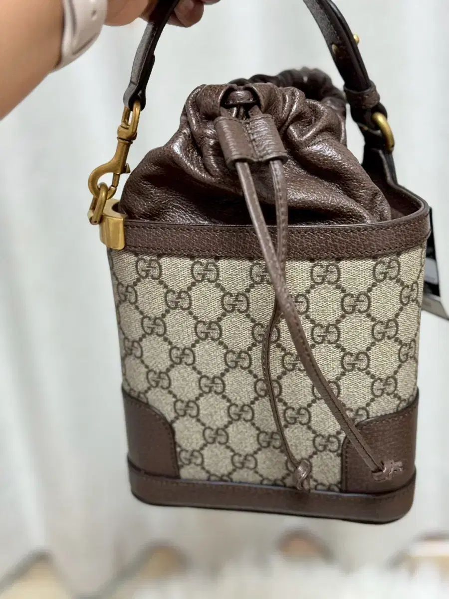 グッチ オフィディア