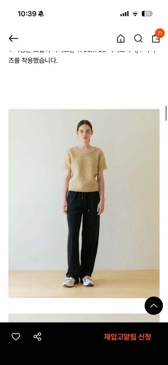 まとめ 現ベニューエ