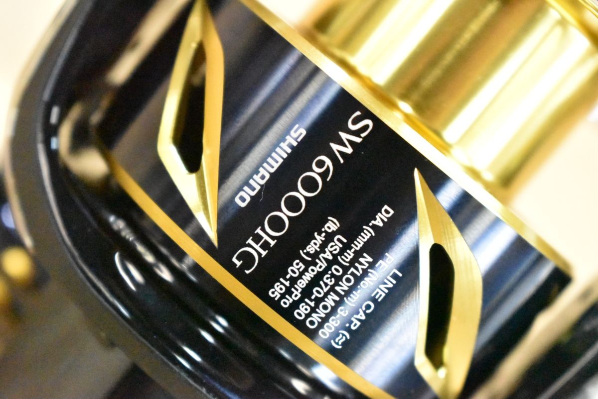 シマノ 20 ステラ SW 6000 HG SHIMANO STELLA スピニングリール オフショア ショア キャスティング ジギング ヒラメ マゴチ ブリ