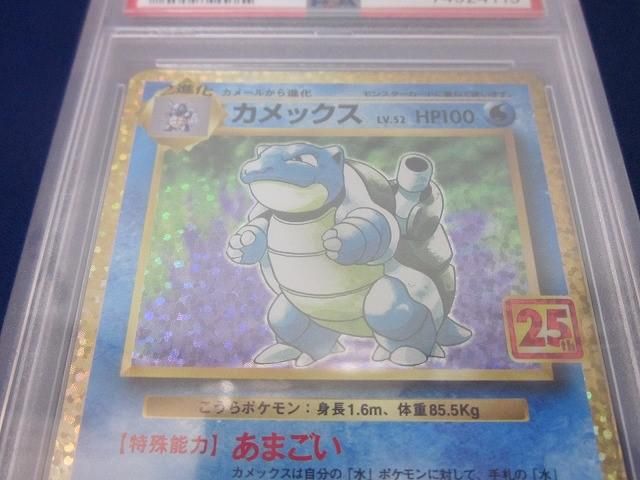 S8a-P-003 カメックス