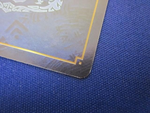 光の戦士の末裔