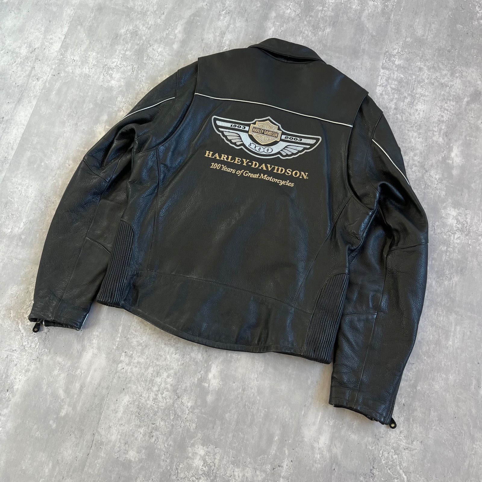 100周年記念 アニバーサリーレザージャケット