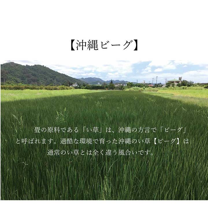 い草ラグ カーペット 沖縄ビーグ 191×250cm