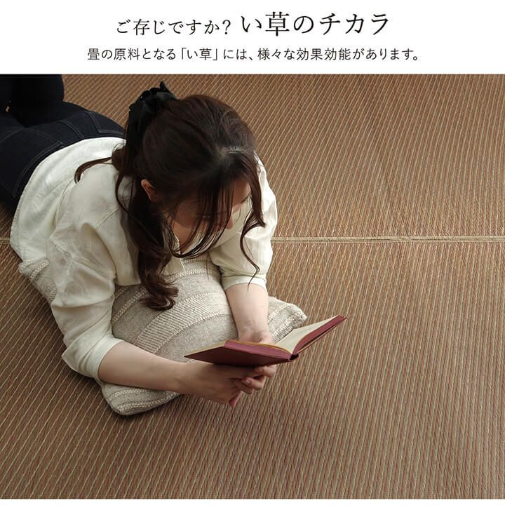 カーペット ソリッド