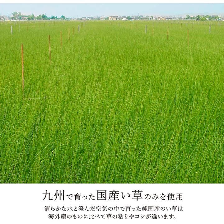 い草ラグ カーペット