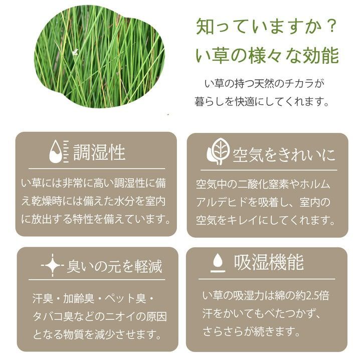 カーペット ヴィオラ