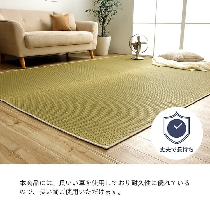 い草ラグ カーペット