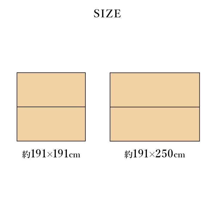 い草ラグ カーペット