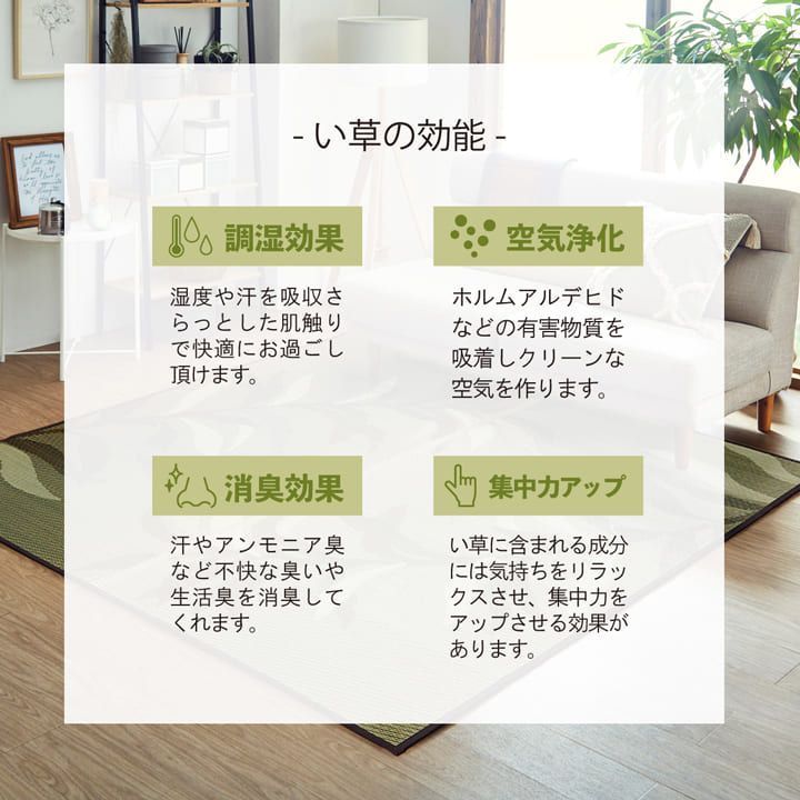 い草ラグ カーペット グラン 191×300cm MARWIL-DEMENAGEMENTS_CH