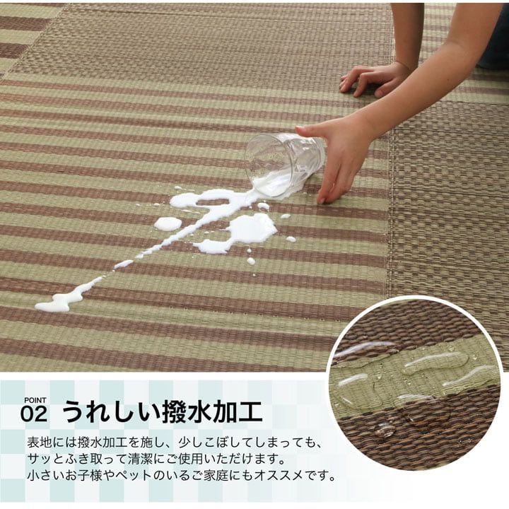 い草ボリュームラグ カーペット ラスタ 撥水 190×300cm MARWIL-DEMENAGEMENTS_CH