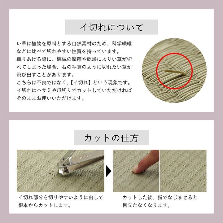 い草ラグ カーペット NCXリープ 180×240cm MARWIL-DEMENAGEMENTS_CH