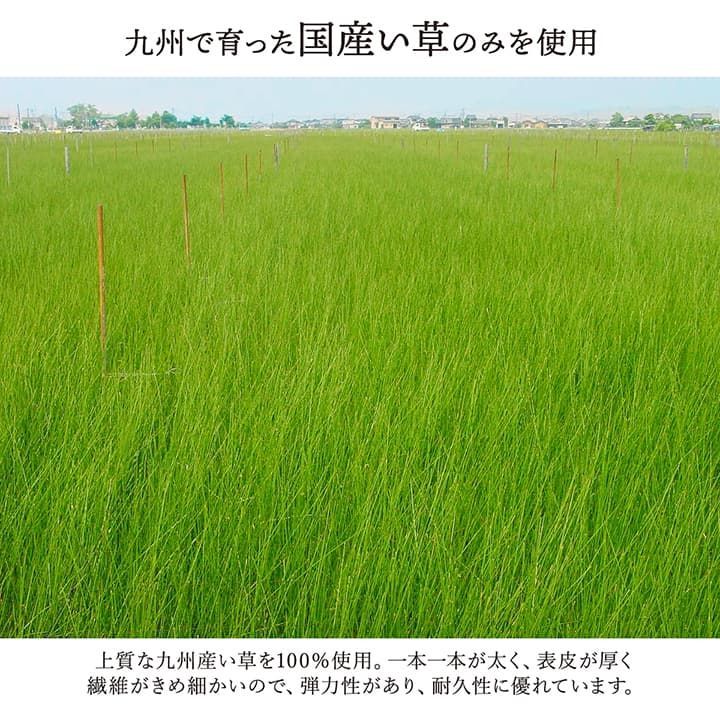 カーペット 大自然