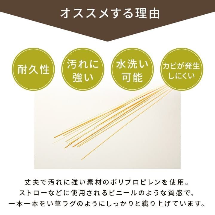 ポリプロピレンカーペット カーペット