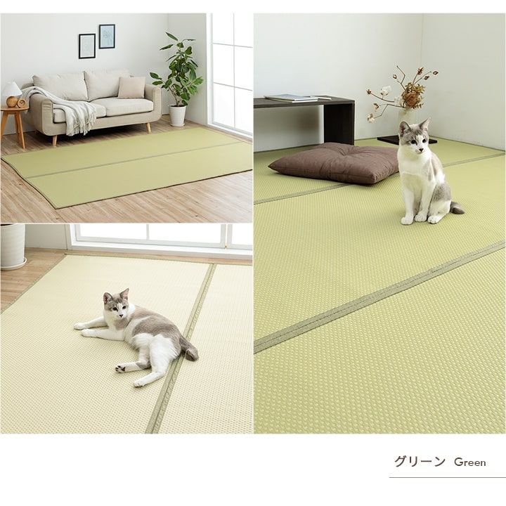 ポリプロピレンカーペット カーペット