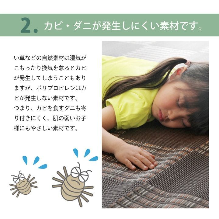 ポリプロピレンカーペット