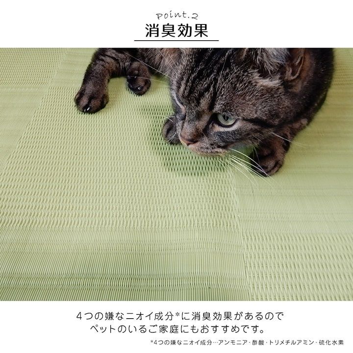 ポリプロピレンカーペット