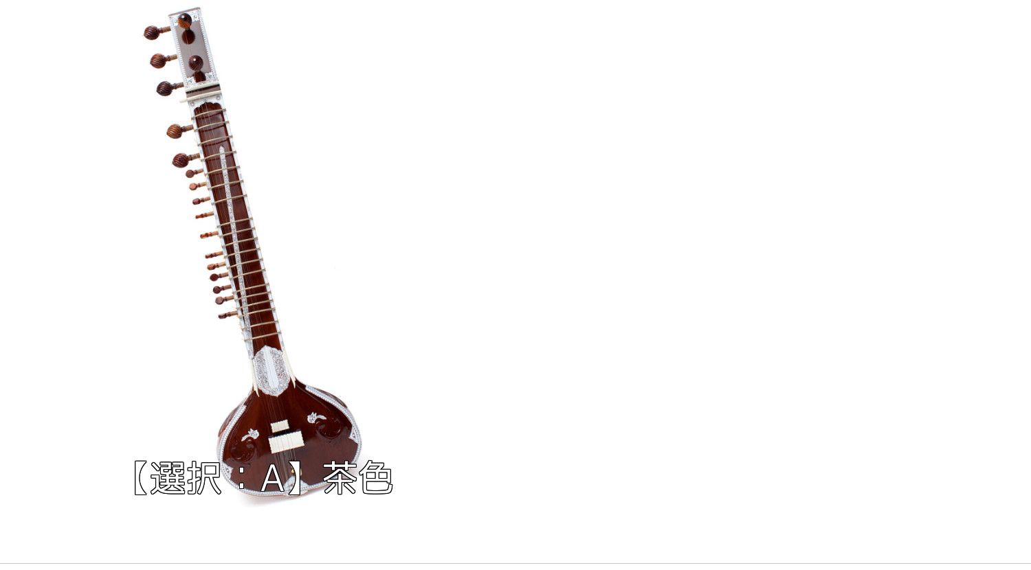 シタールセット グラスファイバーケース