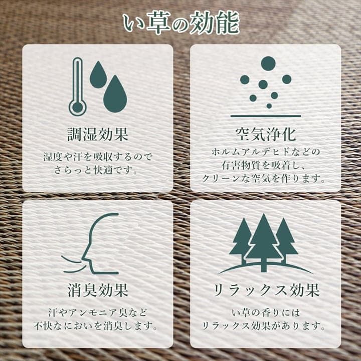 カーペット シンプルノア