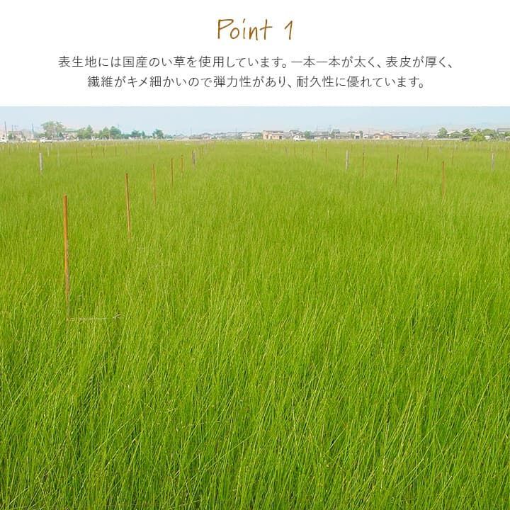 置き畳 カーペット ライズ 88×88cm MARWIL-DEMENAGEMENTS_CH