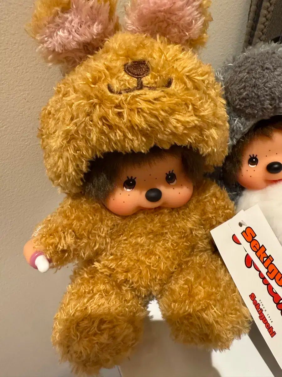 モンチッチ カンガルー オーストラリア リミテッド