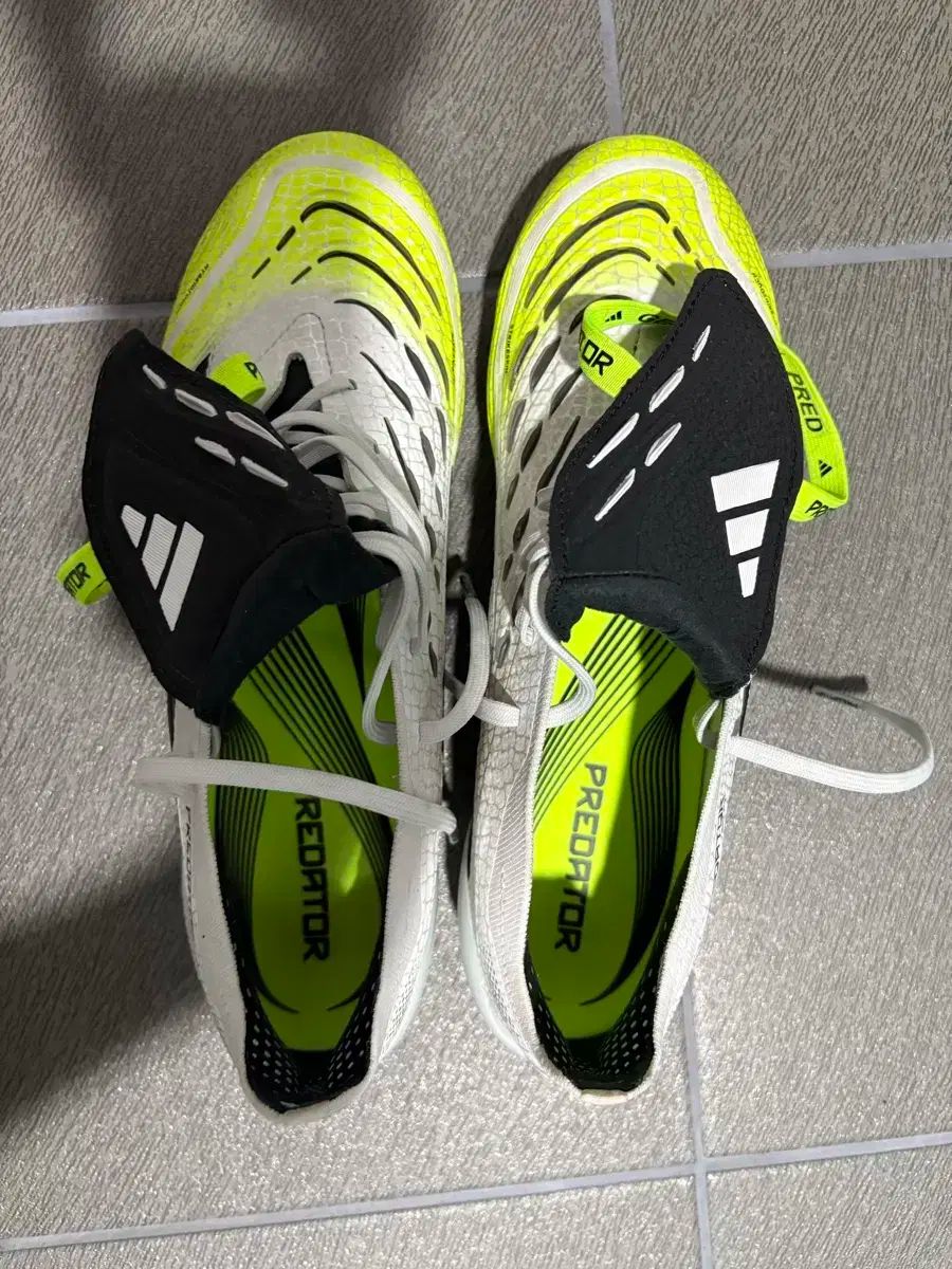 プレデター エリート