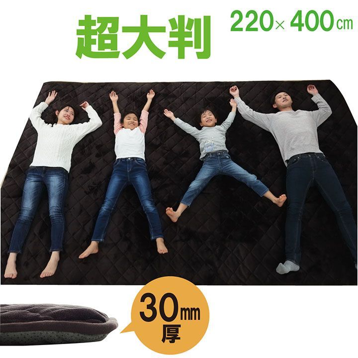 こたつ敷 カーペット 大判ドーク 220×400cm