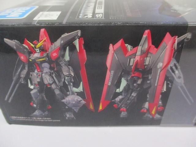 レイダーガンダム