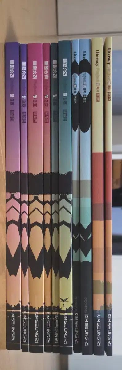 キム スンリ プロジェクト 毎月勝利