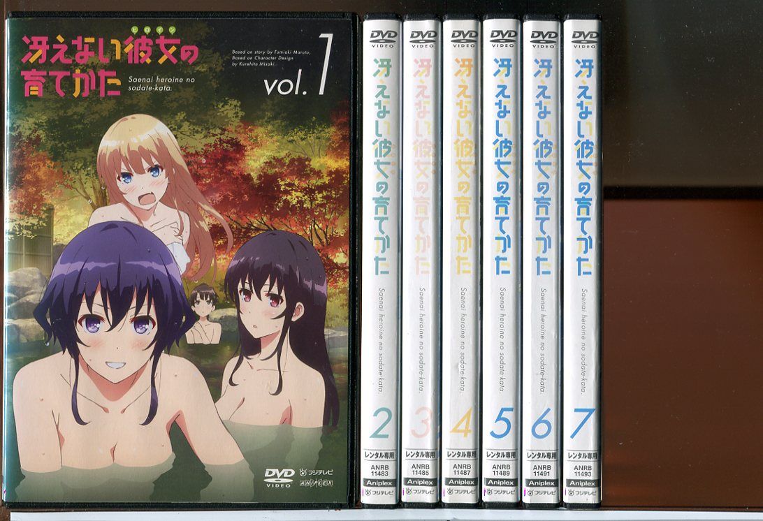 冴えない彼女の育てかた 全7巻 ♭全6巻 劇場版 fine 計14巻セット DVD レンタル落ち c 7163