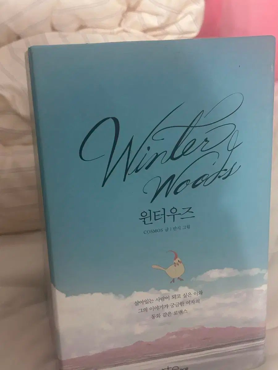 ウェブトゥーン ウィンター ウッズ 単行本 ボックス フルセット