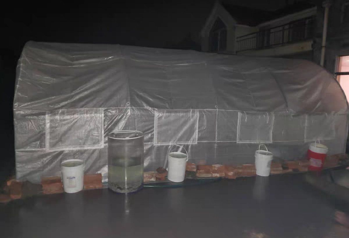 長さ6m×幅3m×高さ2.2m グリーンハウス プロの農家も愛用 PE素材 ビニールハウス 菜園ハウス 温室 野菜 育苗