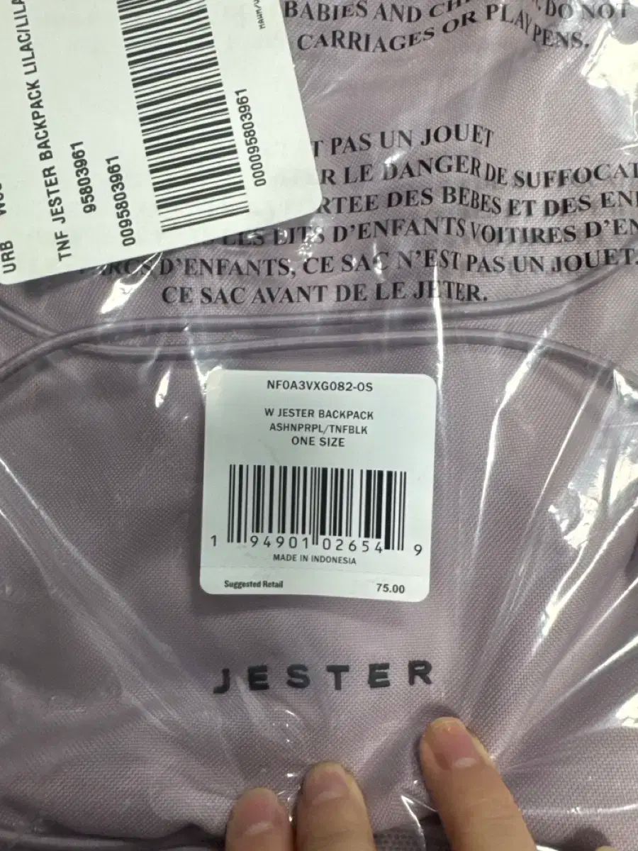 THE NORTH FACE ザノースフェイス ジェスター バックパック ライラック