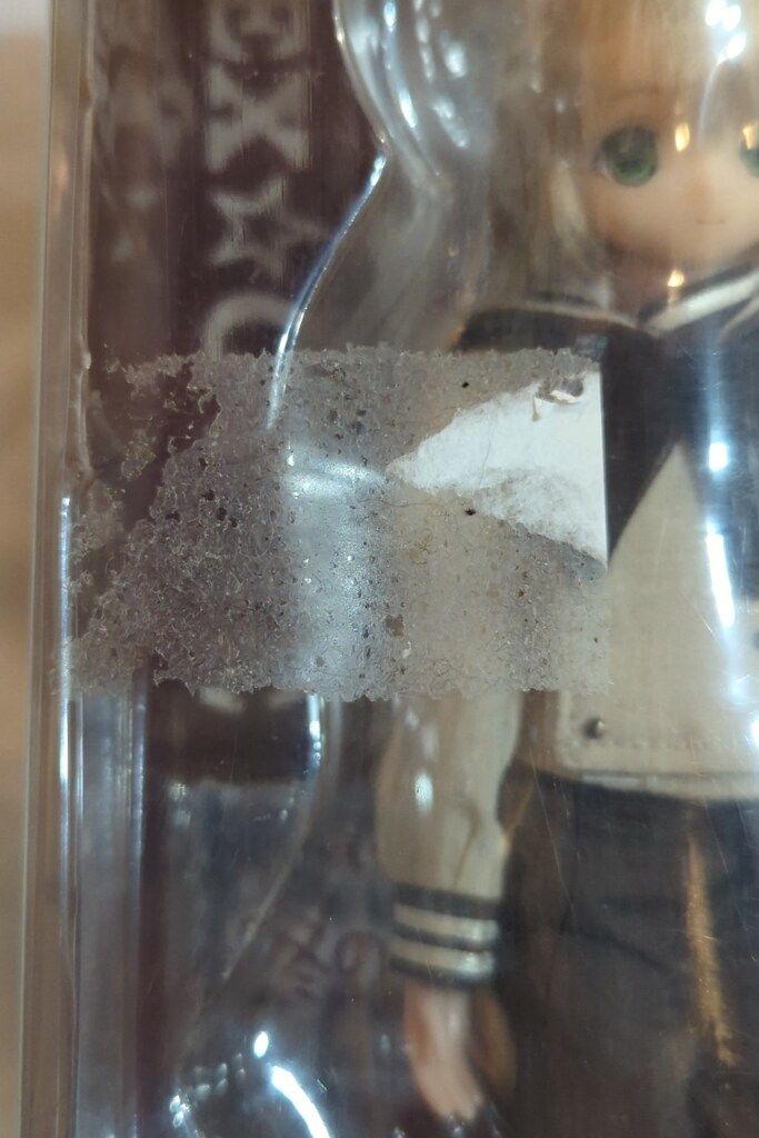 冬のギムナジウム ゆうた