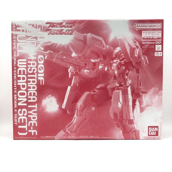 開封 MG 1 100 ガンダムアスト TYPE‐F フルウェポンセット 24 240024535295