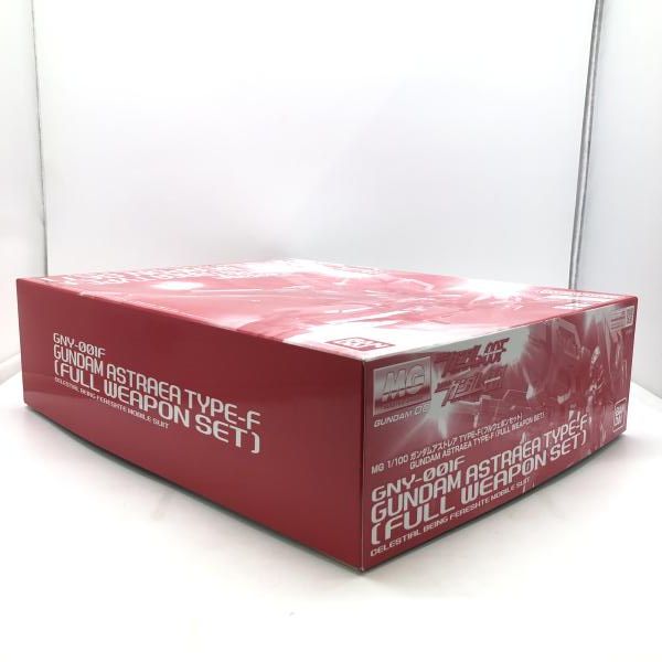 開封 ＭＧ １ １００ ガンダムアスト ＴＹＰＥ‐Ｆ フルウェポンセット 24 240024535295
