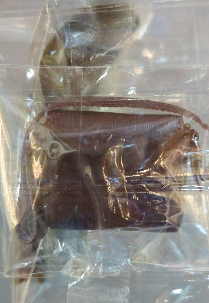 僕らと不思議なラビリンス 少年探偵団Ⅱ