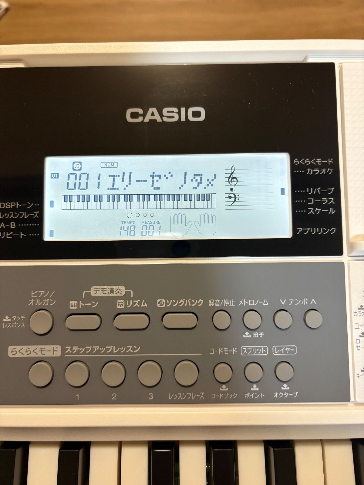 CASIO LK-516