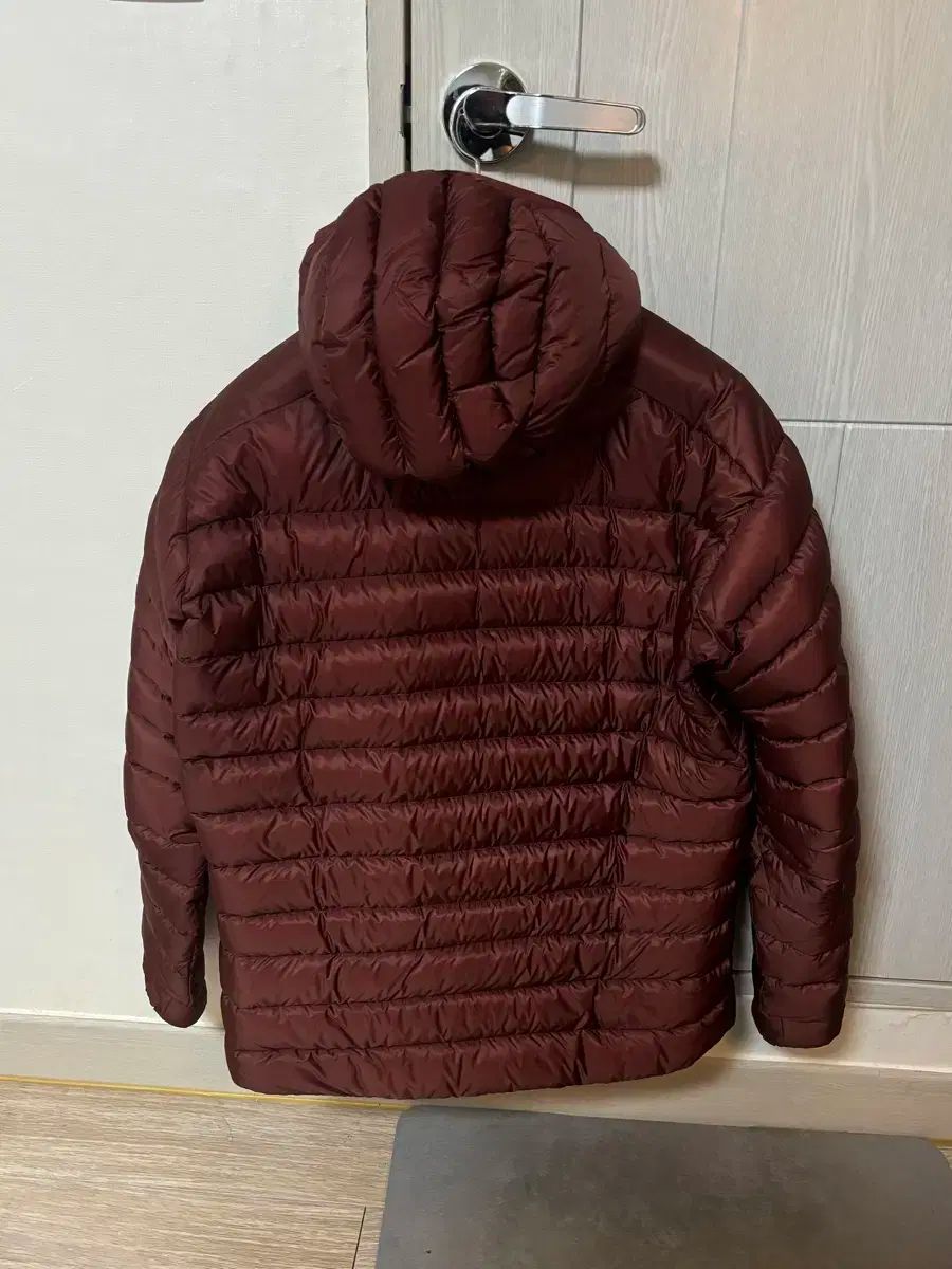 ARC TERYX Ceriumlt フーディ Lサイズ