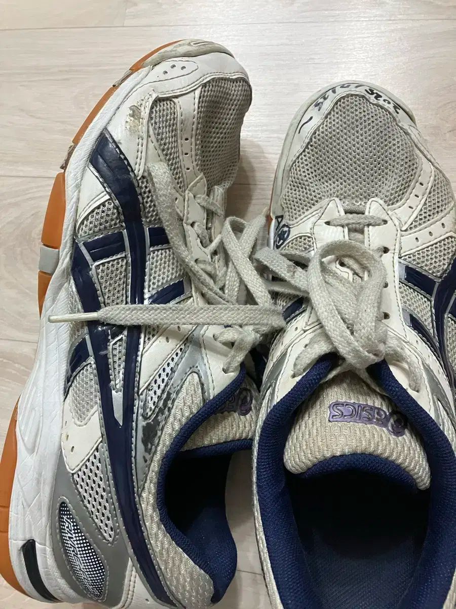  アシックス ロテ リーibre 270 体大入試靴 その他 バドミントン